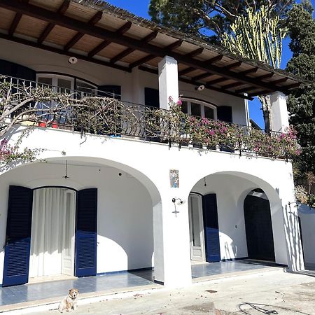 Villa Ravino Secret Retreat Forio  Exterior photo